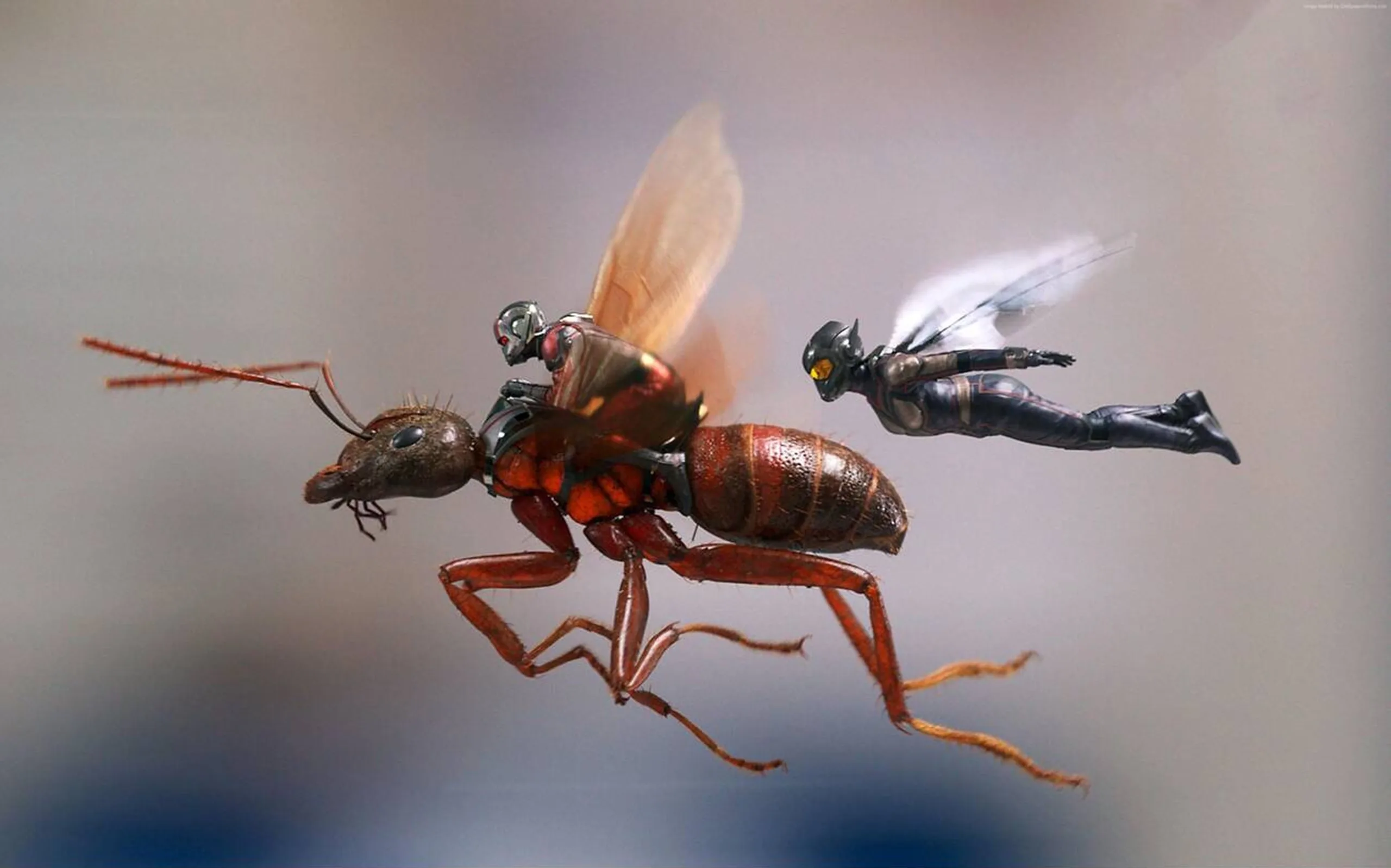 Glimpse of Ant-Man and Wasp 