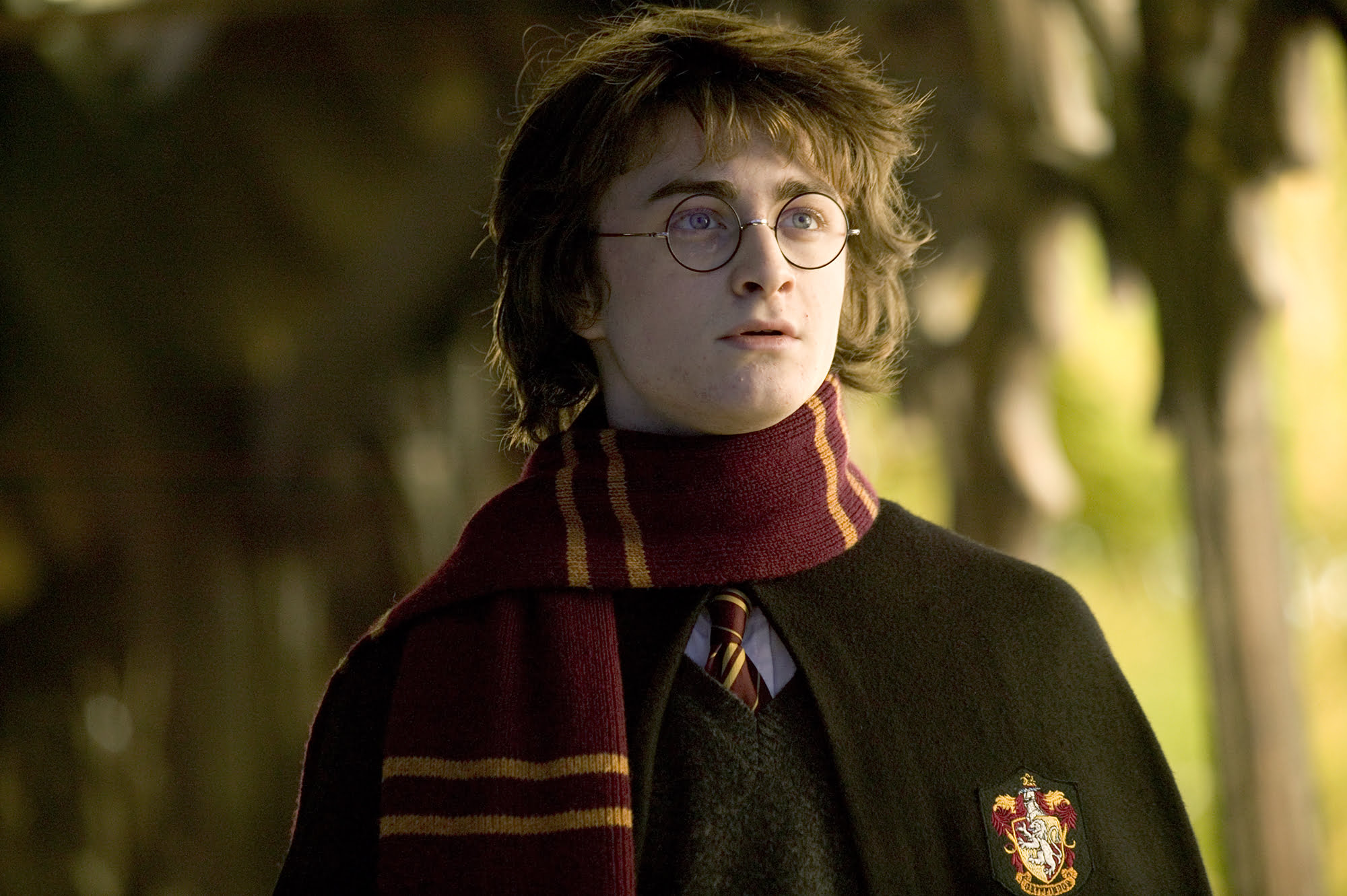 Daniel Radcliffe as Harry Potter