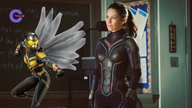 Wasp's MCU Fate: Evangeline Lilly's Exit