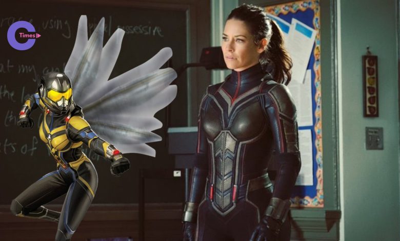 Wasp's MCU Fate: Evangeline Lilly's Exit