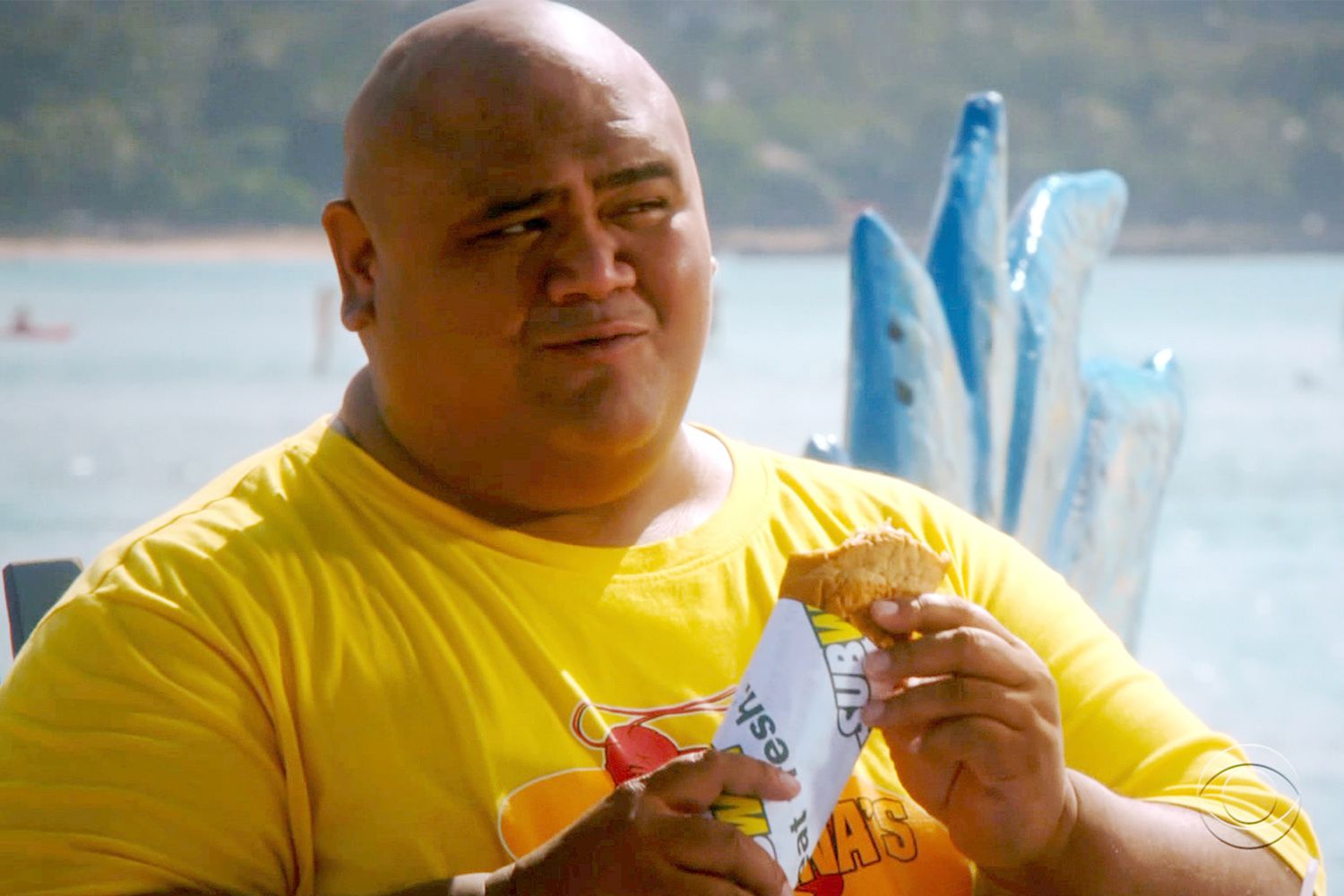 Taylor Wily for Hawaii Five 0