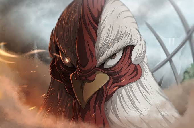 Rooster Fighter | Source: X