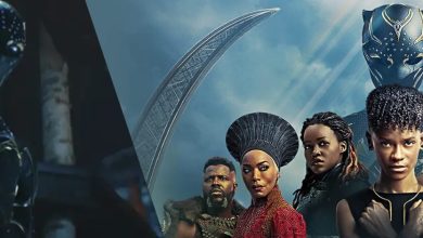 World of Wakanda: The Next MCU Chapter