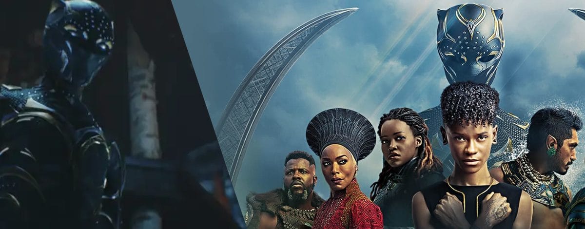 World of Wakanda: The Next MCU Chapter