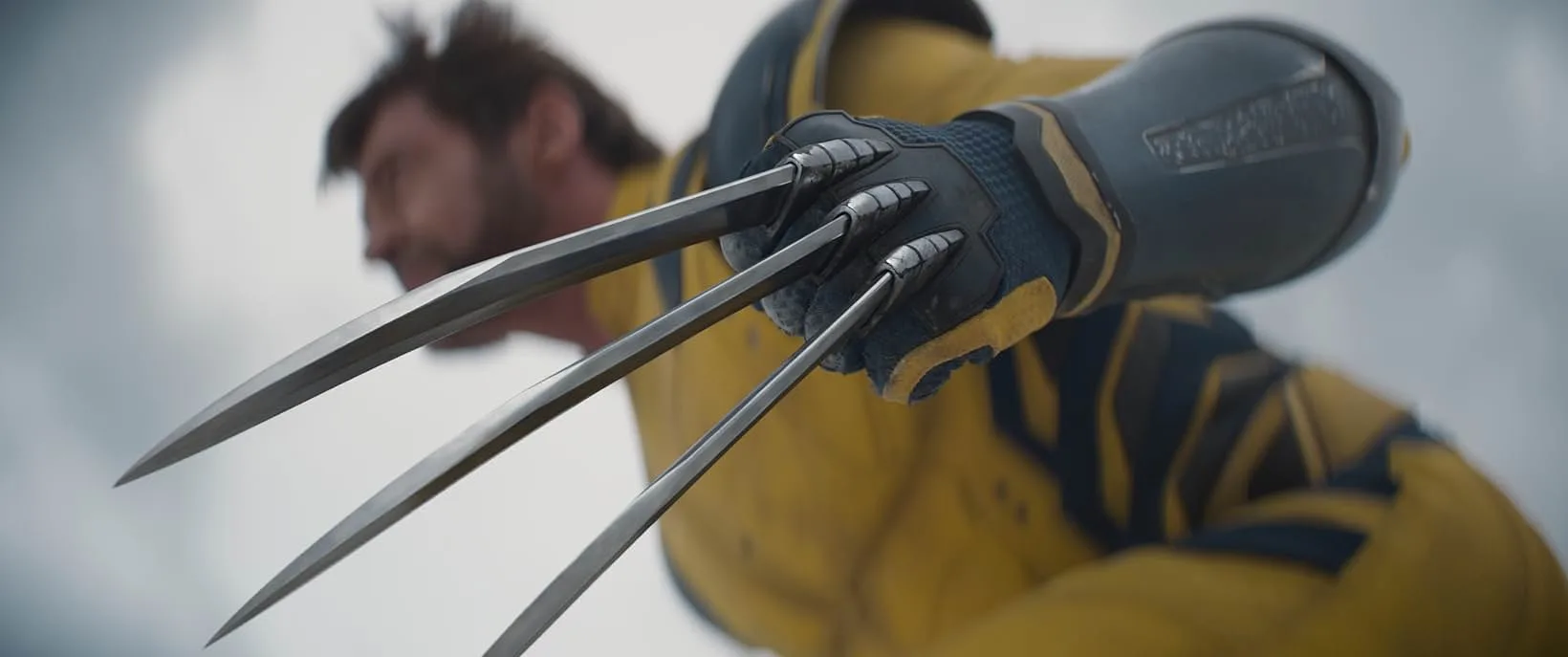 Hugh Jackman as Wolverine