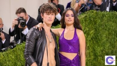 Shawn Mendes and Camila Cabello Complicated Relationship