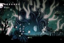 Hollow knight