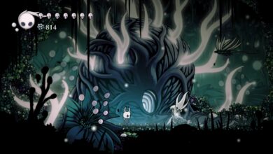 Hollow knight