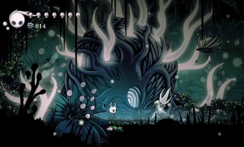 Hollow knight